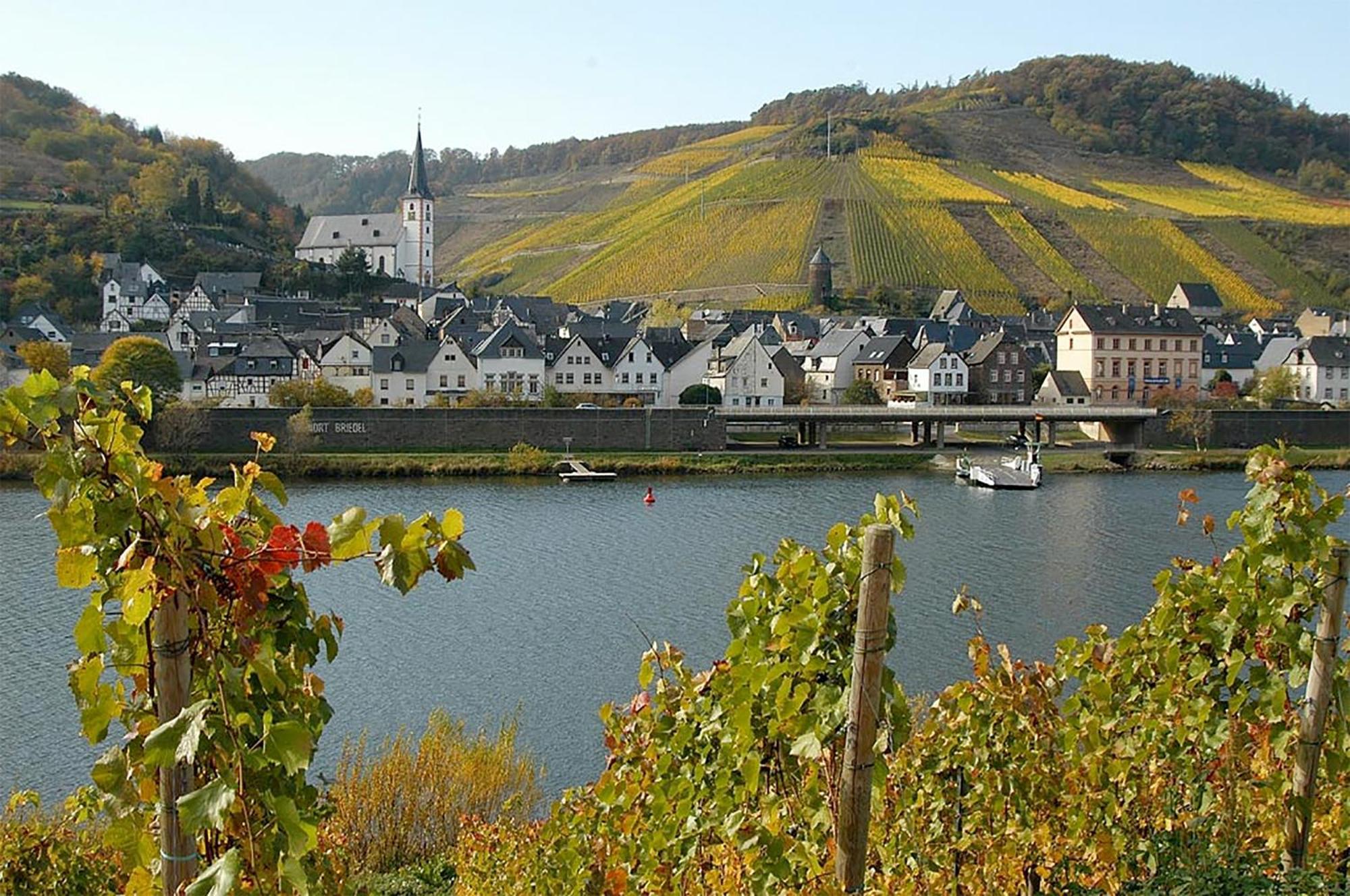 Weingut Rosenbaum Apartment Бридел Екстериор снимка