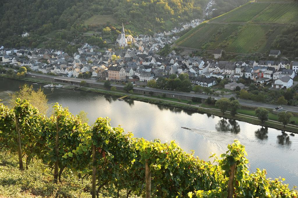 Weingut Rosenbaum Apartment Бридел Екстериор снимка