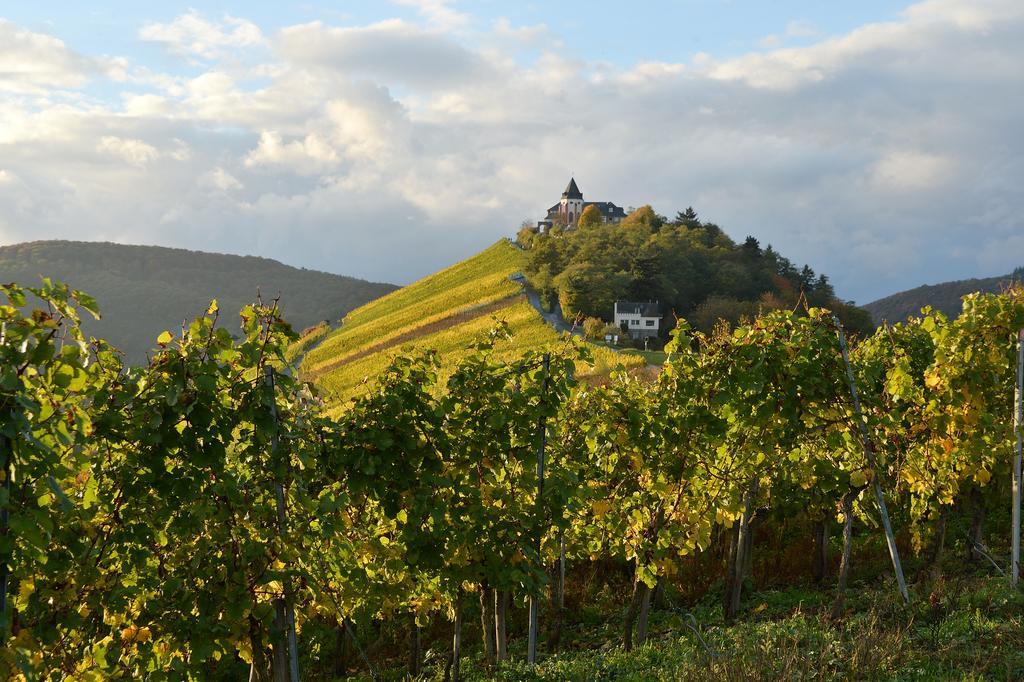 Weingut Rosenbaum Apartment Бридел Екстериор снимка